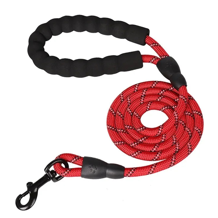 Adjustable Nylon Pet Collar And Leash Set Antipull Training Kit