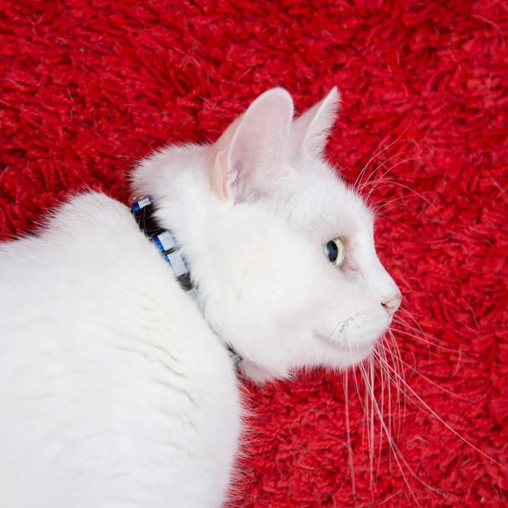 Reflective Cat Collars With Bell Mixed Colors Breakaway Nylon