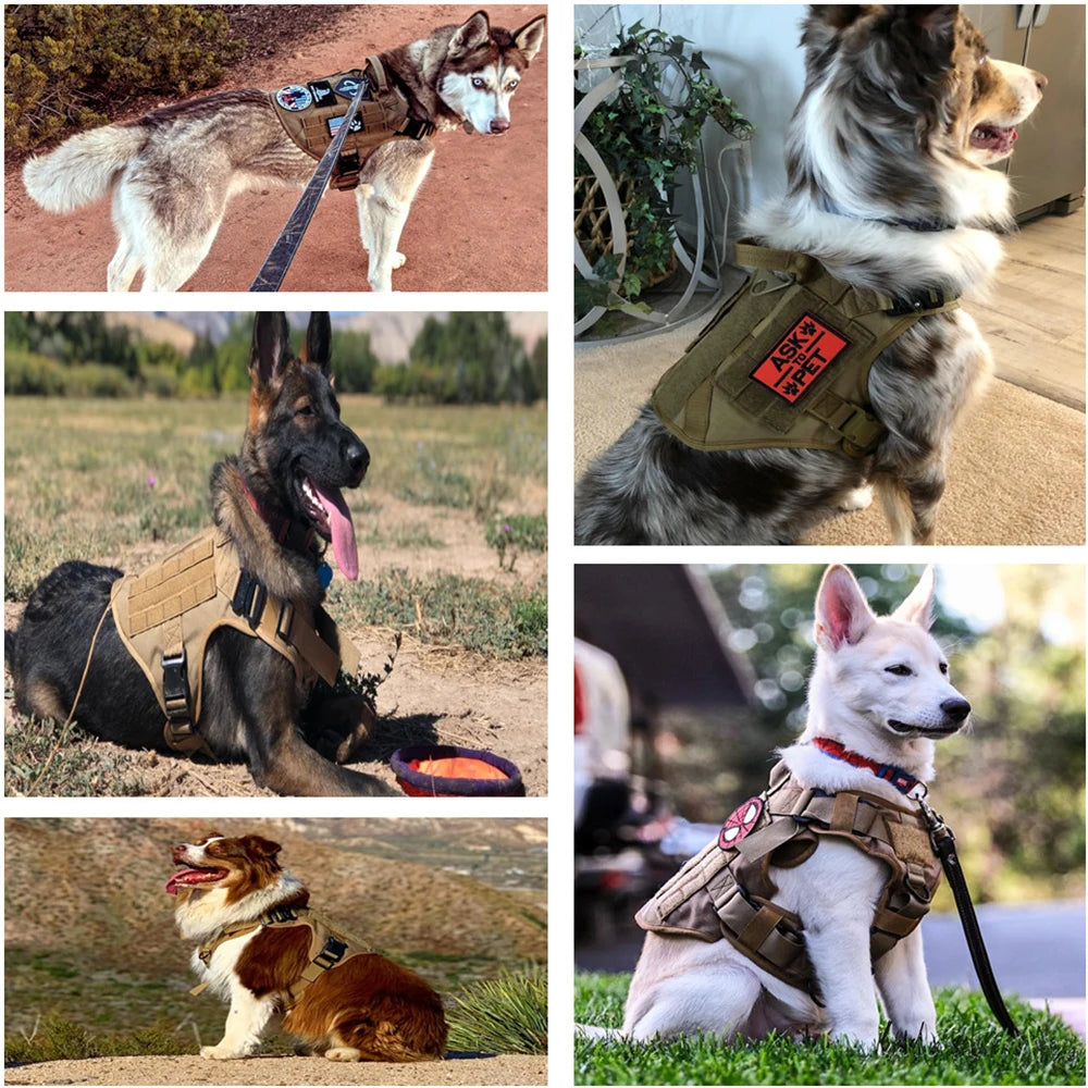 PETRAVEL CN Military Dog Harness Vest Leash Set With Patches