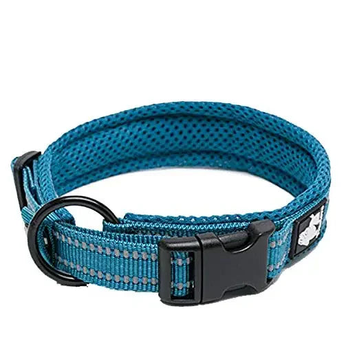 TRUELOVE Adjustable Nylon Dog Collar With Padded Reflective Training