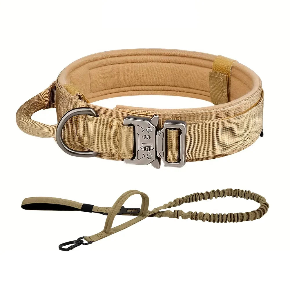 Adjustable Dog Training Collar And Leash Set