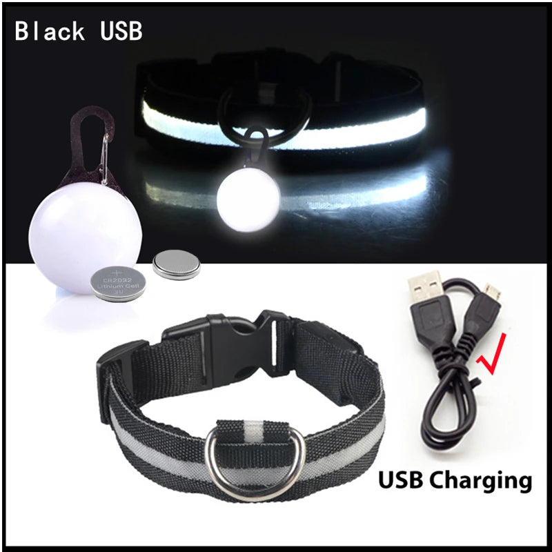 COOYOMOO USB Charging Glowing Dog Collar With Pendant LED Light