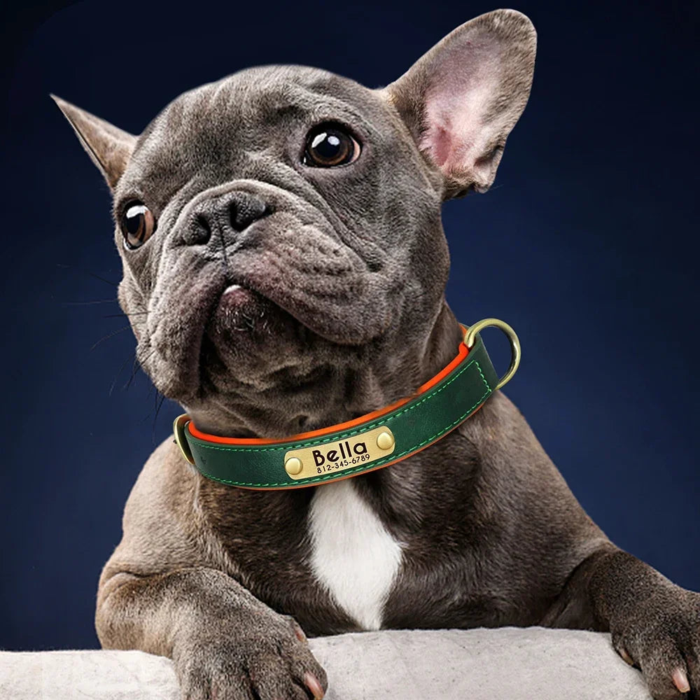 PU Leather Nameplate Dog Collar With Free Engraving Adjustable Padded