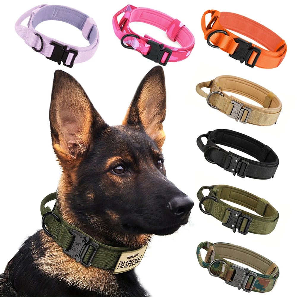 Adjustable Dog Training Collar And Leash Set