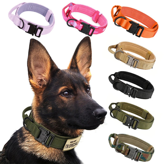 Adjustable Dog Training Collar And Leash Set