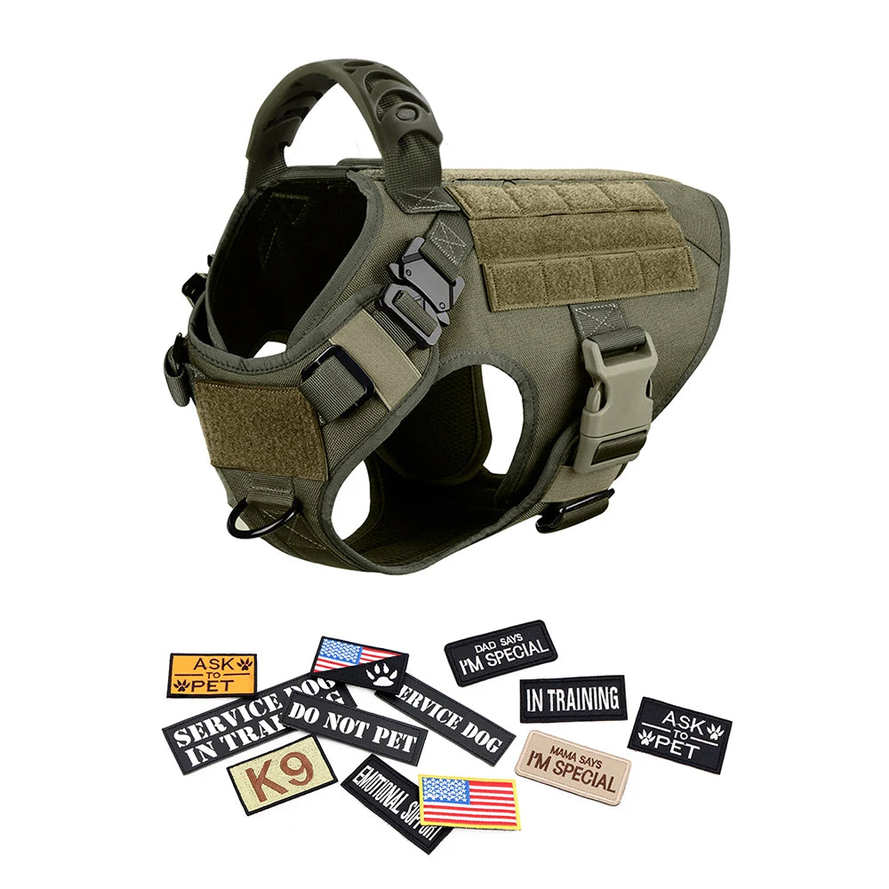 PETRAVEL CN Military Dog Harness Vest Leash Set With Patches