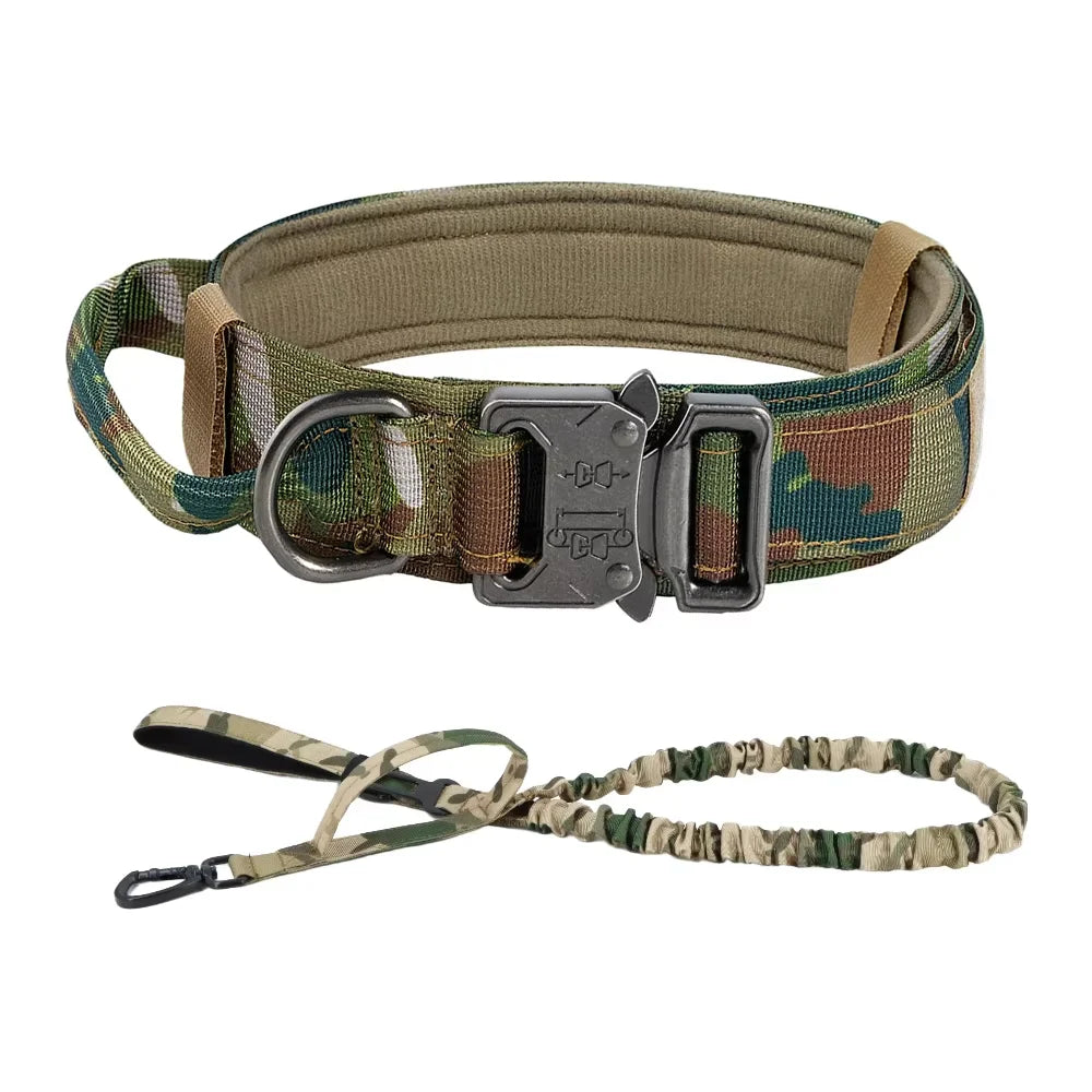 Adjustable Dog Training Collar And Leash Set