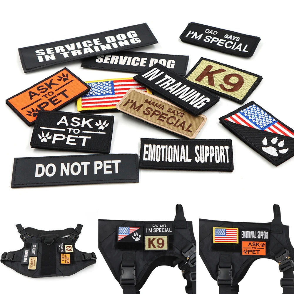 PETRAVEL CN Military Dog Harness Vest Leash Set With Patches