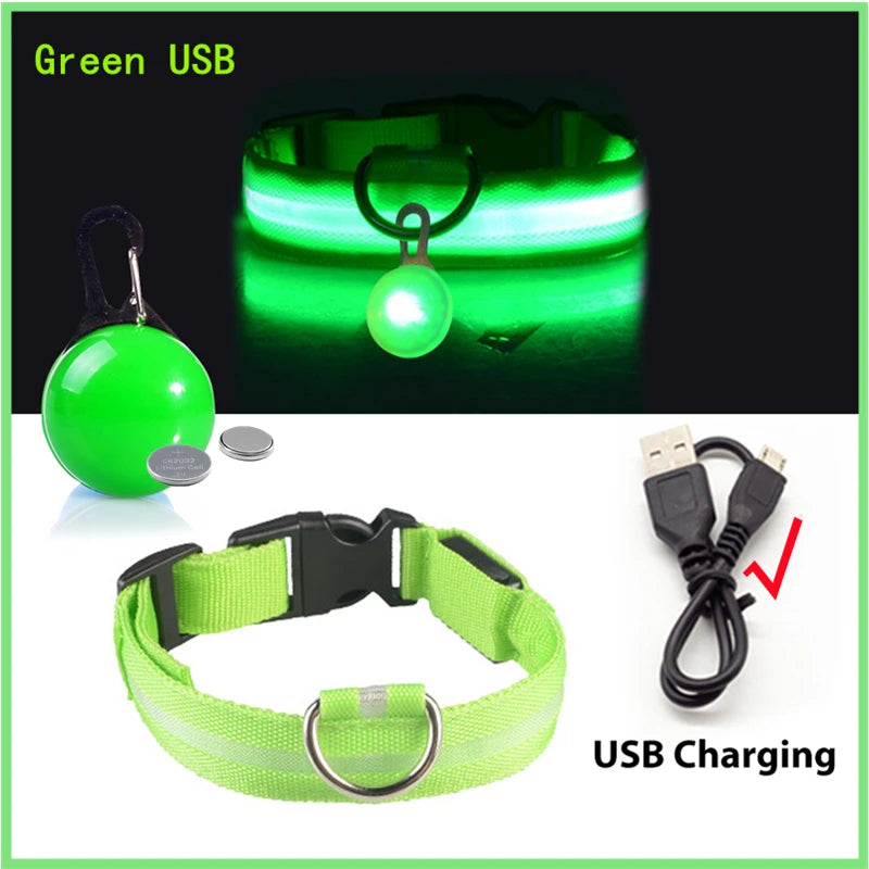 COOYOMOO USB Charging Glowing Dog Collar With Pendant LED Light