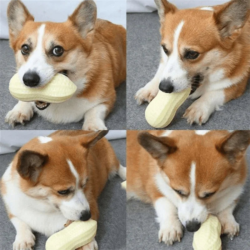 Dog Peanut Shaped Chew Toy Squeaker Rubber Teething Toy