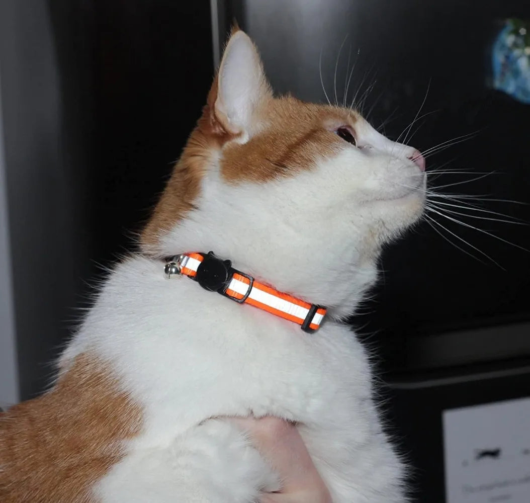 Reflective Cat Collars With Bell Mixed Colors Breakaway Nylon