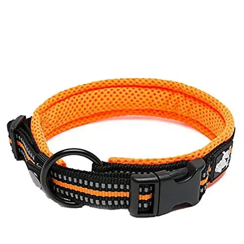 TRUELOVE Adjustable Nylon Dog Collar With Padded Reflective Training