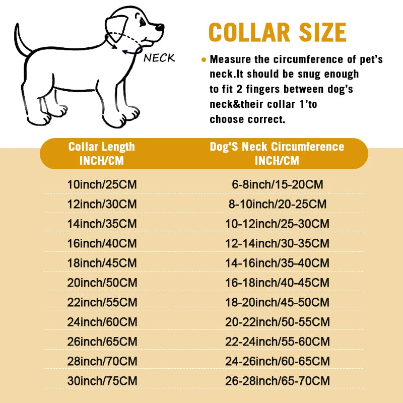 Stainless Steel Chain Collar for Dogs