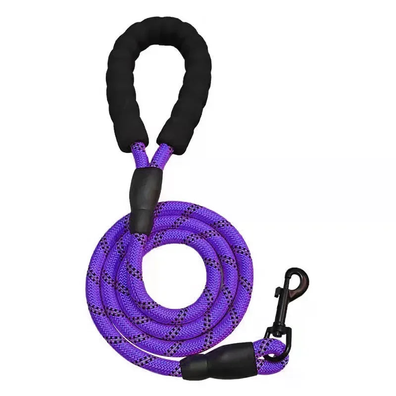 Adjustable Nylon Pet Collar And Leash Set Antipull Training Kit