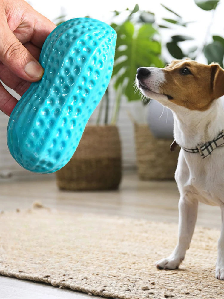 Dog Peanut Shaped Chew Toy Squeaker Rubber Teething Toy
