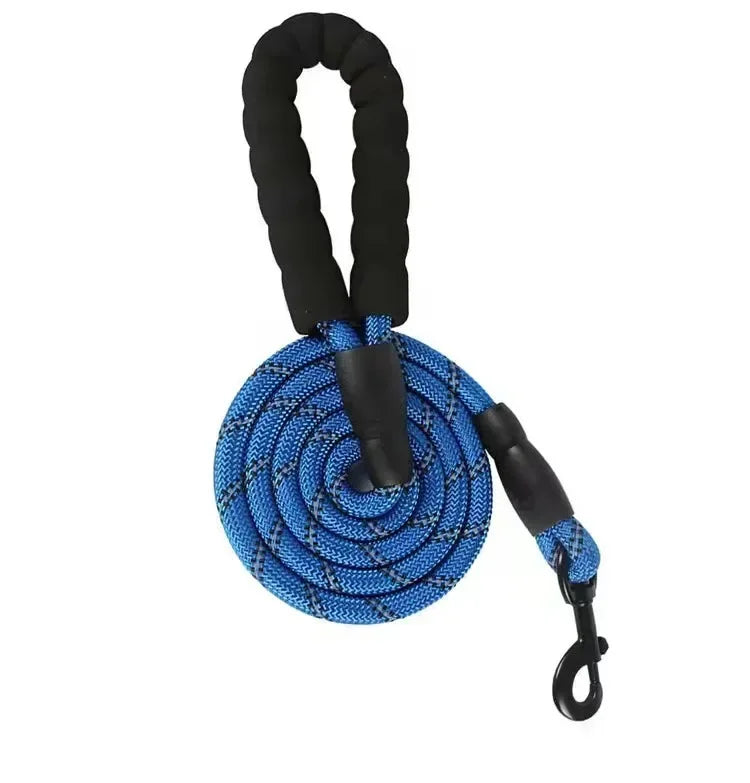 Adjustable Nylon Pet Collar And Leash Set Antipull Training Kit