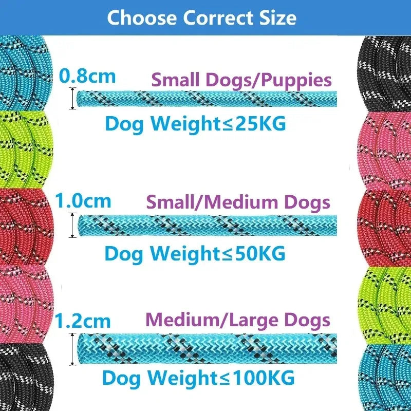 Adjustable Nylon Pet Collar And Leash Set Antipull Training Kit