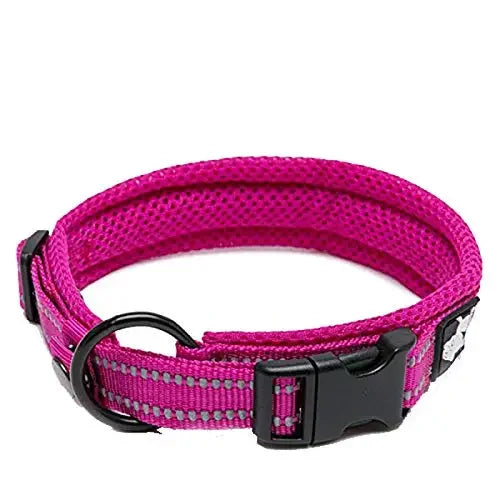 TRUELOVE Adjustable Nylon Dog Collar With Padded Reflective Training