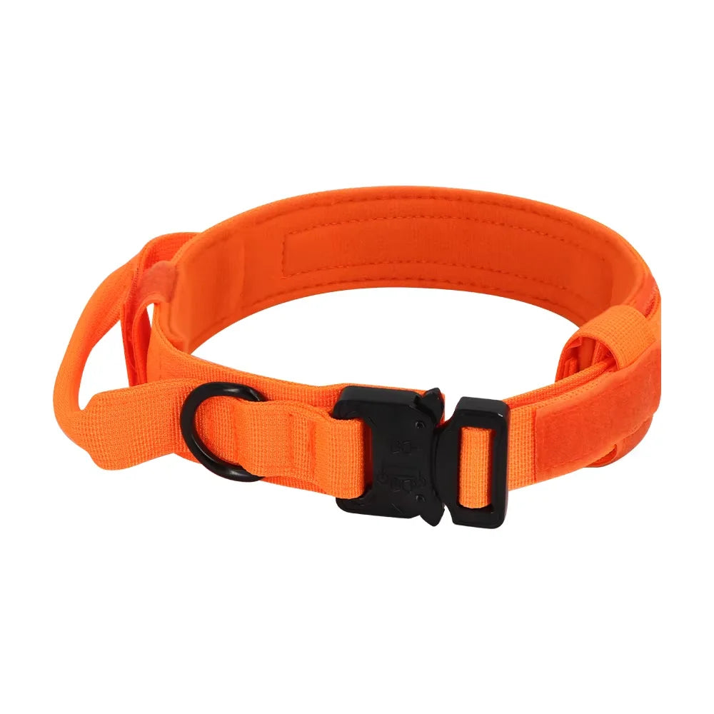Adjustable Dog Training Collar And Leash Set