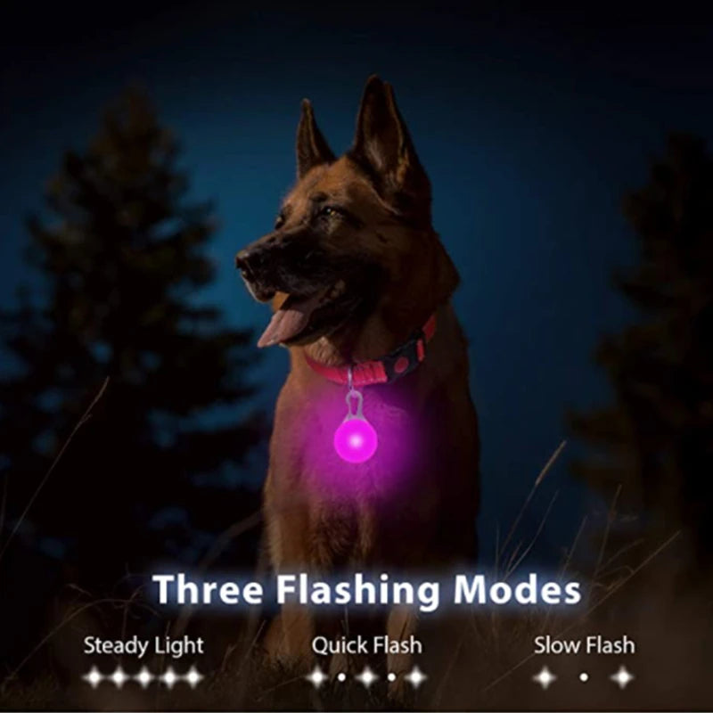 COOYOMOO USB Charging Glowing Dog Collar With Pendant LED Light