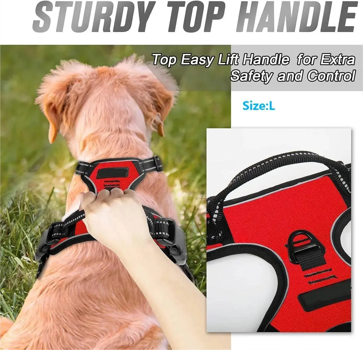 Dog Collars Harness Leash Set Leather For Dogs All Seasons