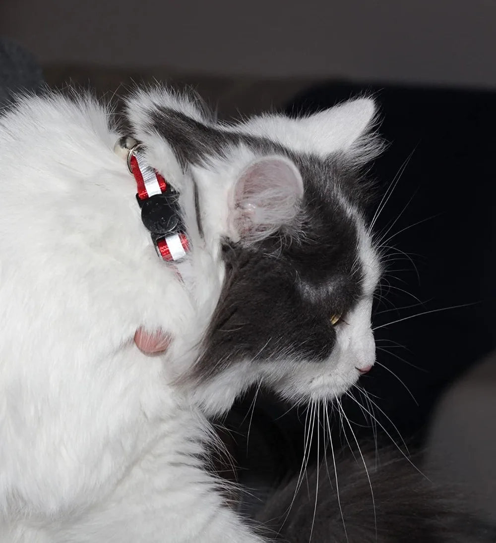 Reflective Cat Collars With Bell Mixed Colors Breakaway Nylon