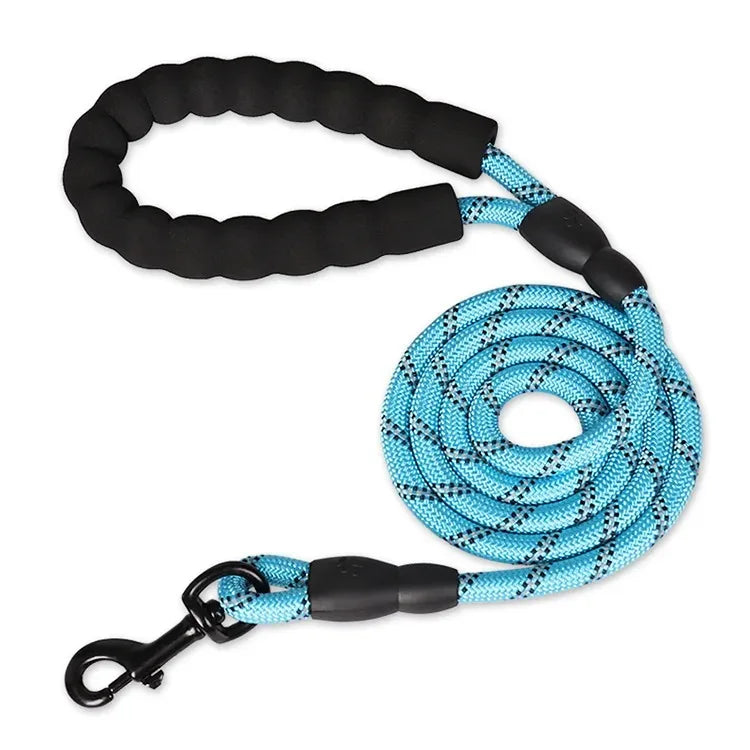 Adjustable Nylon Pet Collar And Leash Set Antipull Training Kit