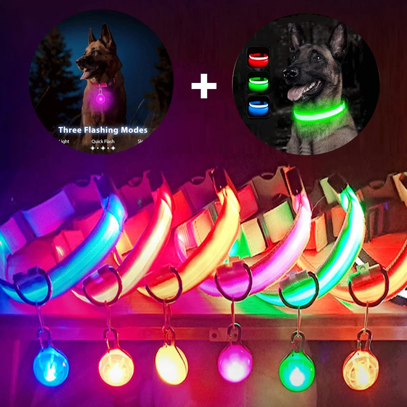 COOYOMOO USB Charging Glowing Dog Collar With Pendant LED Light