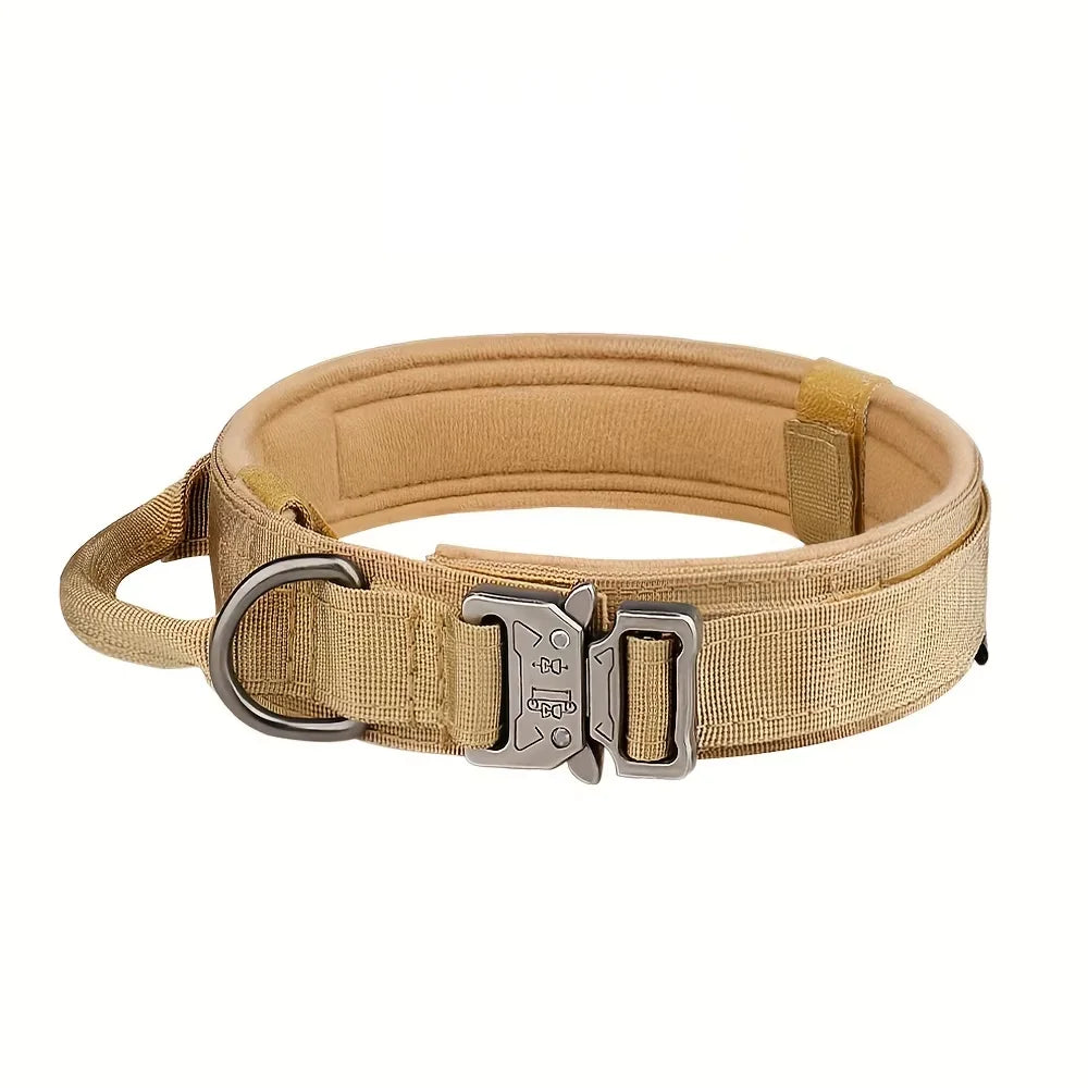 Adjustable Dog Training Collar And Leash Set