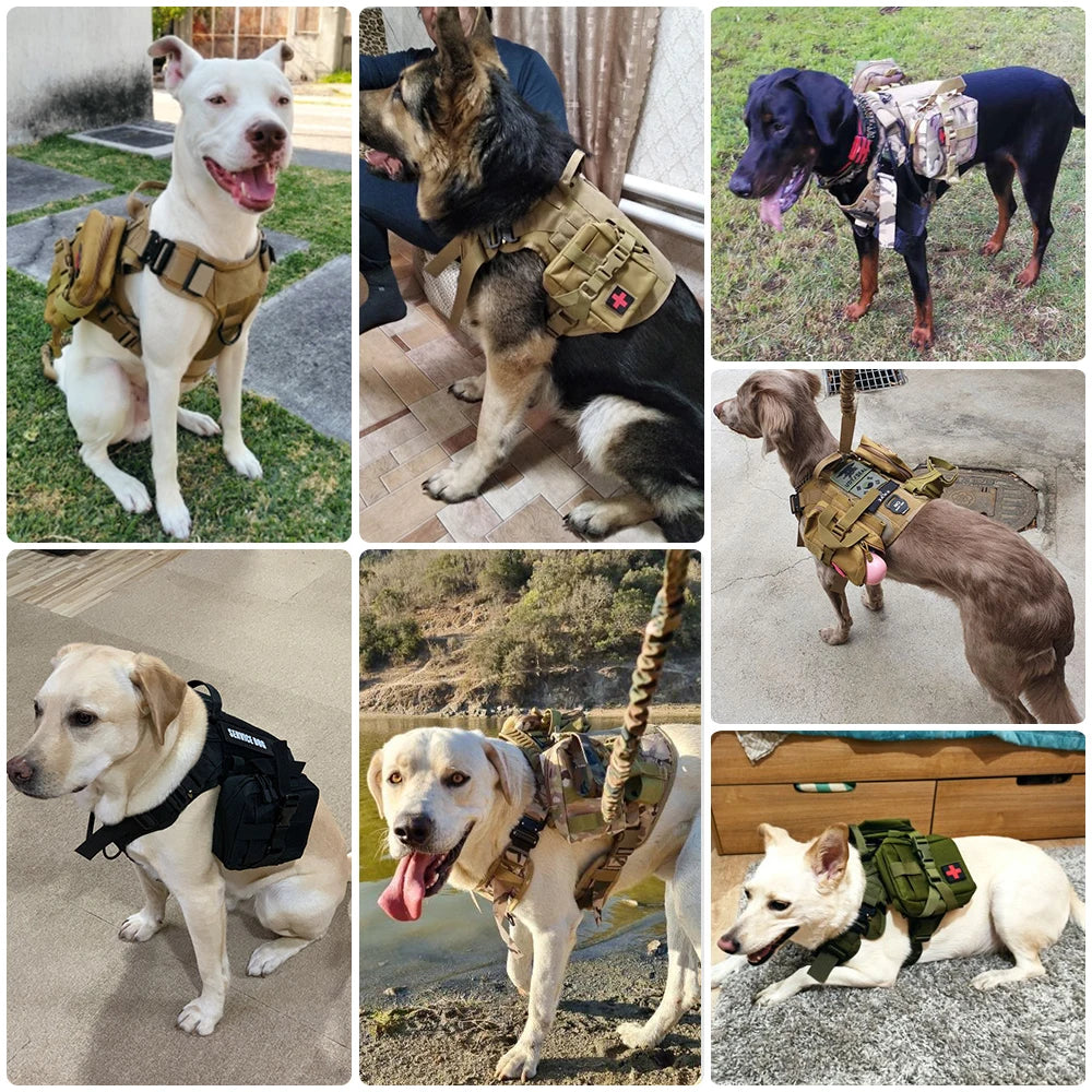 PETRAVEL CN Military Dog Harness Vest Leash Set With Patches
