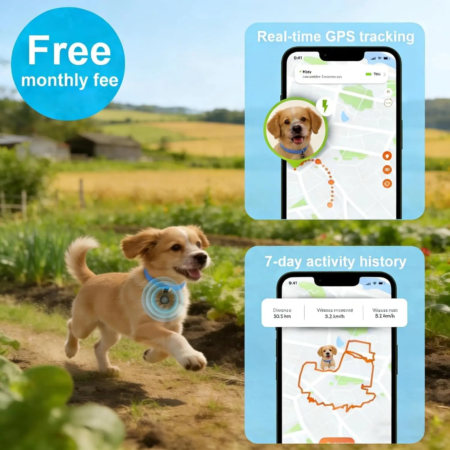 GPS Dog Collar With Real-Time Location, No Monthly Fee