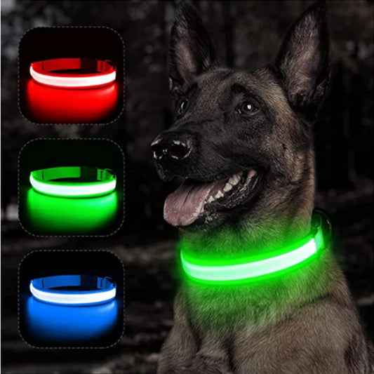 COOYOMOO USB Charging Glowing Dog Collar With Pendant LED Light