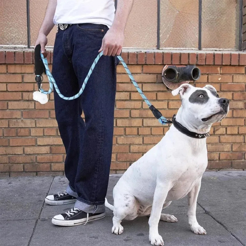 Adjustable Nylon Pet Collar And Leash Set Antipull Training Kit