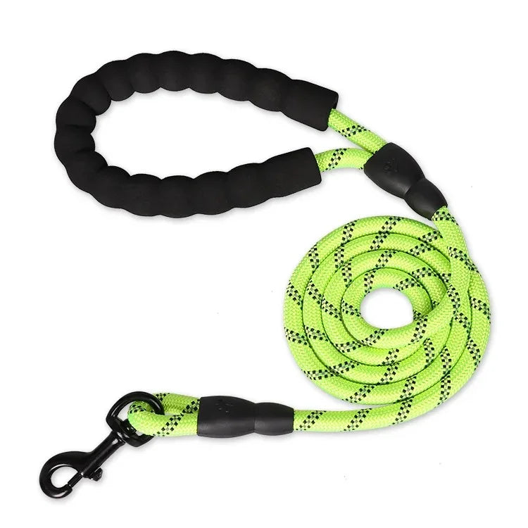 Adjustable Nylon Pet Collar And Leash Set Antipull Training Kit