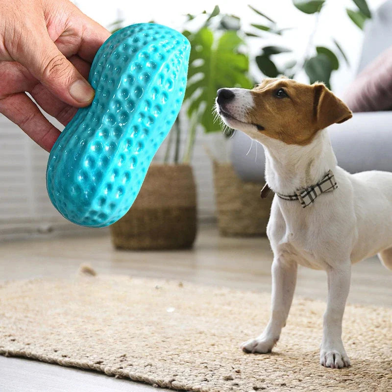 Dog Peanut Shaped Chew Toy Squeaker Rubber Teething Toy