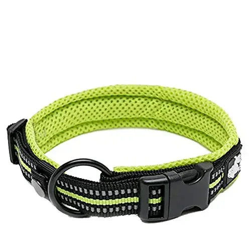 TRUELOVE Adjustable Nylon Dog Collar With Padded Reflective Training