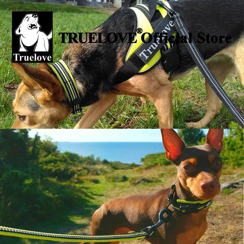 TRUELOVE Adjustable Nylon Dog Collar With Padded Reflective Training