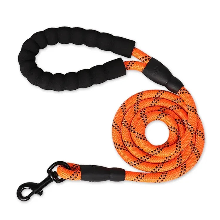 Adjustable Nylon Pet Collar And Leash Set Antipull Training Kit