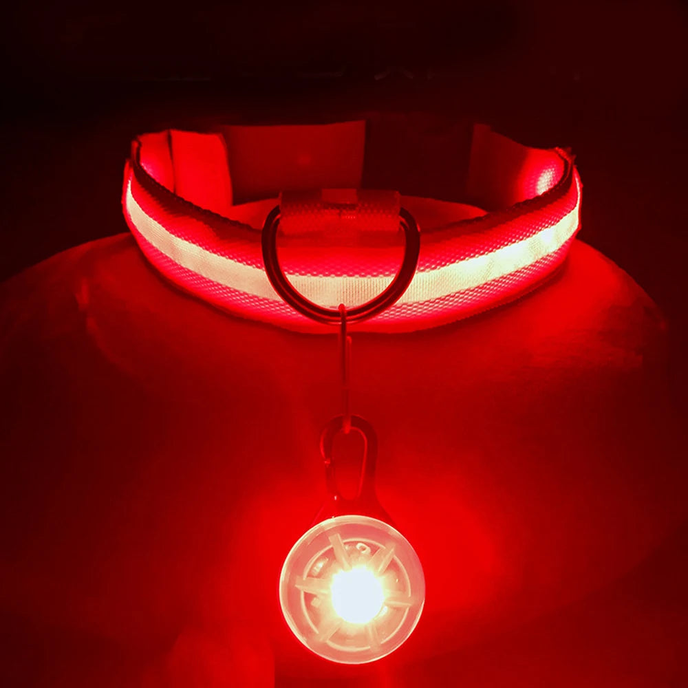 COOYOMOO USB Charging Glowing Dog Collar With Pendant LED Light