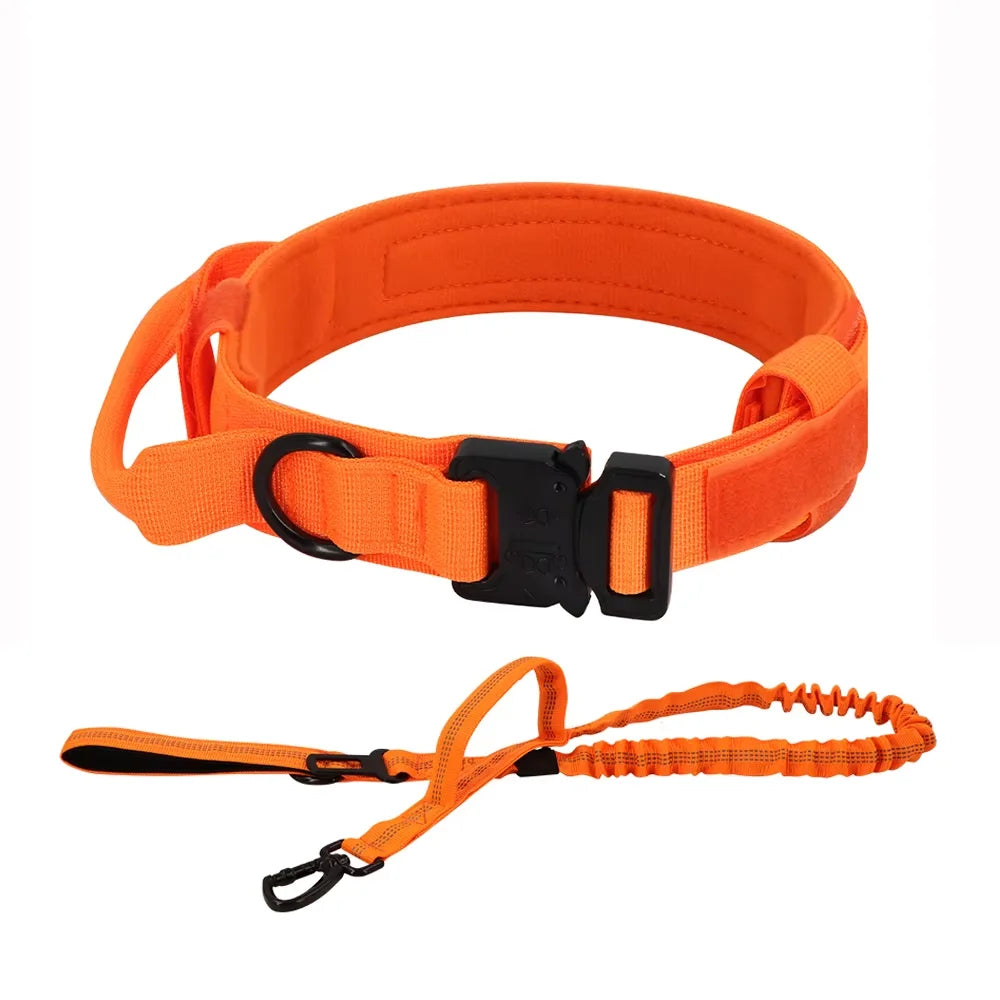 Adjustable Dog Training Collar And Leash Set