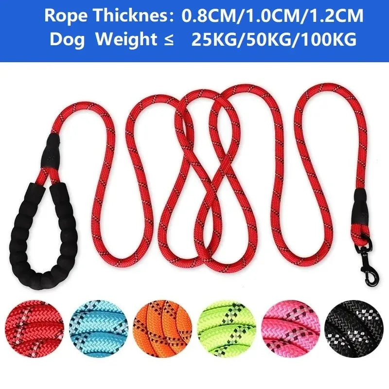 Adjustable Nylon Pet Collar And Leash Set Antipull Training Kit