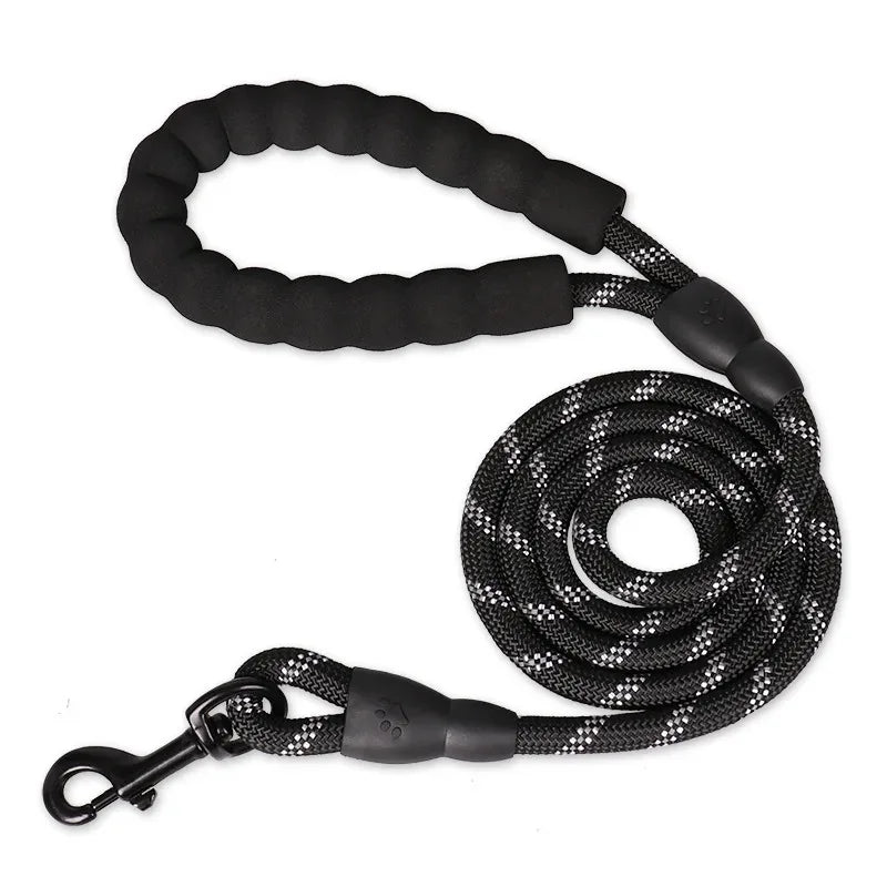 Adjustable Nylon Pet Collar And Leash Set Antipull Training Kit