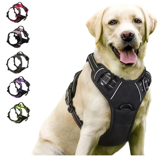 Dog Collars Harness Leash Set Leather For Dogs All Seasons
