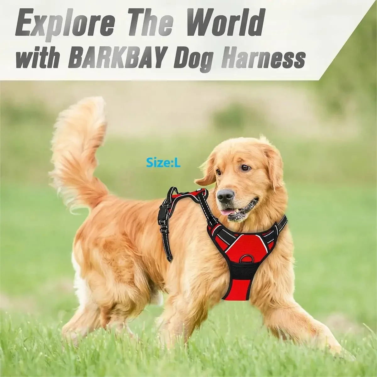 Dog Collars Harness Leash Set Leather For Dogs All Seasons
