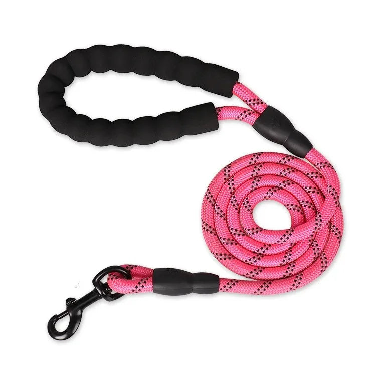Adjustable Nylon Pet Collar And Leash Set Antipull Training Kit