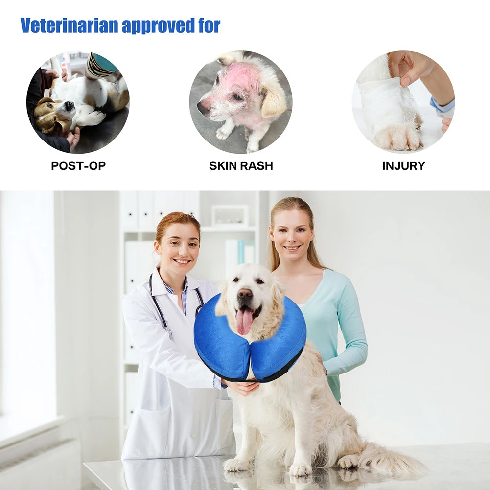Inflatable Dog Collar After Surgery For Pets Protective Recovery