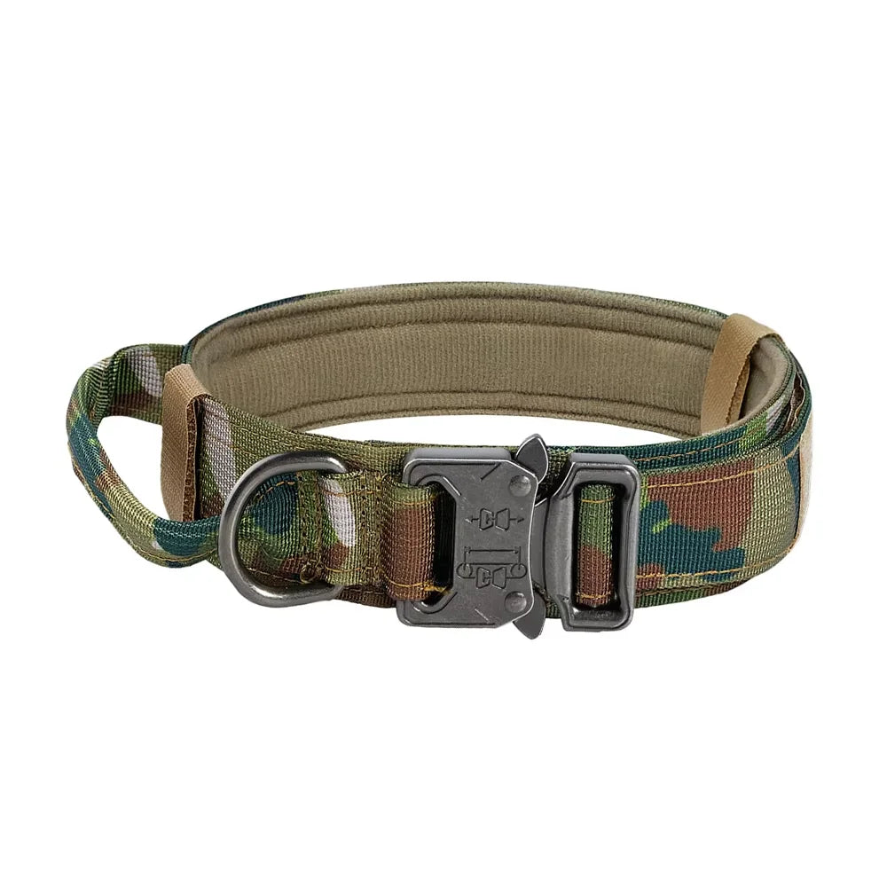 Adjustable Dog Training Collar And Leash Set