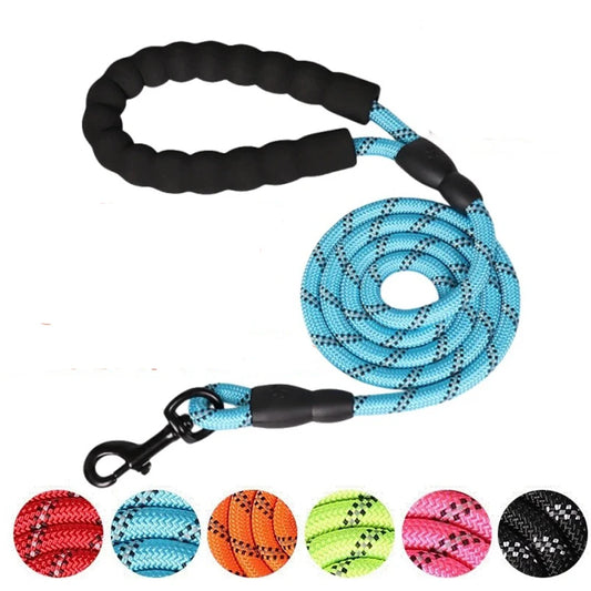 Adjustable Nylon Pet Collar And Leash Set Antipull Training Kit