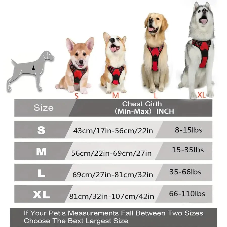 Dog Collars Harness Leash Set Leather For Dogs All Seasons
